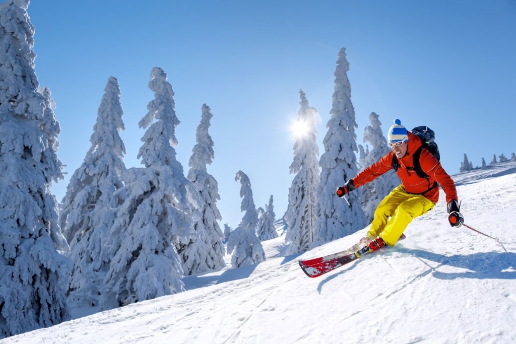 Skier skiing down run near snowy trees